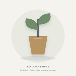 Mini Desk Planter — conceptual sample illustration